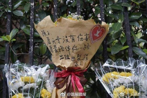 凯恩：只要我们状态在线就能击败任何对手；若夺冠将梦想成真